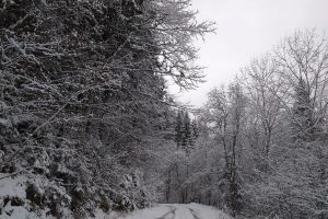 Peisaje de vis în Munţii Rodnei, la Valea Măriilor şi Blazna (FOTO)
