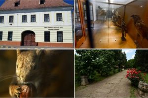 FOTO| Finanţare nerambursabilă pentru Muzeul din Sebeş: 70.000 lei pentru proiectul cultural „La muzeu şi la şcoală. Cursuri alternative de Istorie Naturală”