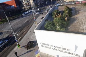 Cetină, gratis! Circa 200 de brazi nevânduţi abandonaţi în piaţa Rogerius (FOTO / VIDEO)