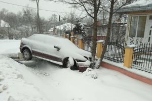 FOTO Patru tineri din Botoşani au ajuns cu maşina într-un copac. După accident, au abandonat totul şi au plecat