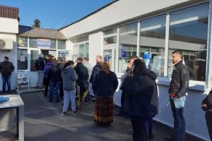 Înainte de Revelion, la Bistriţa se stă la cozi pentru peşte şi curcani vii (FOTO)