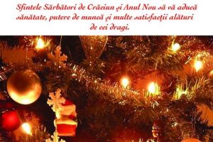 Primăria comunei Gorneşti vă urează Sărbători fericite!