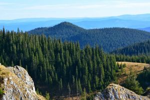 Anunţ de începere a proiectului „Elaborarea instrumentelor pentru managementul adaptativ al capitalului natural din ariile protejate Parcul Natural Apuseni, ROSCI0002 Apuseni, ROSPA0081 Munţii Apuseni - Vlădeasa şi ROSCI0016 Buteasa”