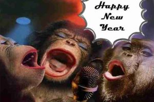 MESAJE SMS de Anul Nou 2020 haioase. Urări şi Felicitări amuzante pe care le puteţi transmite la trecerea dintre ani