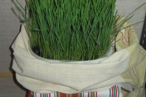 Obiceiuri de Anul Nou - predictii de sanatate si bunastare in vechile practici populare