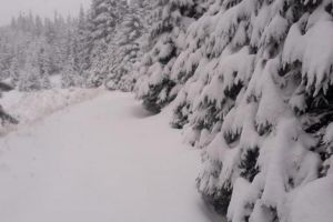 Zăpada viscolită din zona montană poate produce avalanşe în orice moment