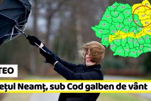 METEO: Judeţul Neamţ, sub Cod galben de vânt puternic