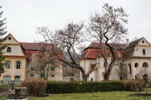 Demolări în incinta Castelului Bornemisza din Gurghiu