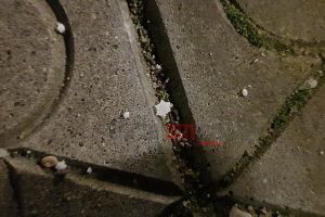 FOTOGALERIE. Fenomen deosebit la Satu Mare. Au căzut steluţe din gheaţă!