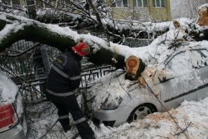 Doi copaci căzuţi au avariat mai multe maşini în Predeal