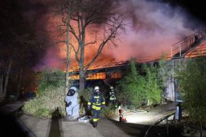 FOTO Incendiu la o grădină zoologică din Germania – Zeci de animale arse de vii