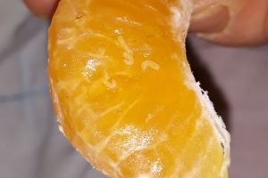 FOTO. Clementine cu viermi?! Descoperirea făcută la un celebru hypermarket