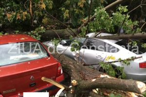 Anul 2019 – un an al fenomenelor extreme. Tornade, furtuni, vijelii, masini avariate si vieti pierdute (galerie foto)