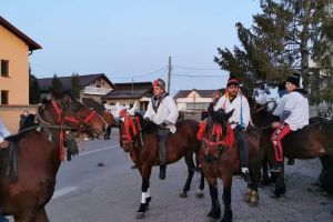 Gura Șuţii: Tinerii duc mai departe obiceiul plugului cu cai
