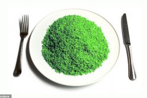 Alertă alimentară mondială! Mâncăm ASTA şi murim. Și e extrem de greu de evitat…