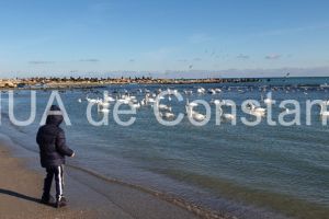 Constantenii au iesit la plimbare pe faleza Cazinoului sau pe plaja (fotoreportaj)