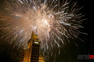 Petiţie în Satu Mare: fără petarde şi focuri de artificii