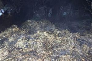 Trei incendii stinse la timp de pompierii vrânceni, în Focşani, la Năruja şi la Măicăneşti