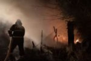 Animale carbonizate într-un incendiu violent!