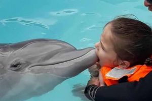 Animalele, pansament pentru rănile oamenilor: O fetiţă bolnavă de autism se recuperează cu ajutorul delfinilor