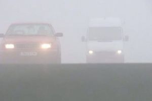 Cod galben de ceaţă