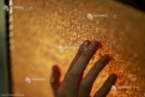 Ziua mondială Braille