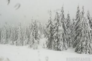 Meteorologii avertizează: intensificări ale vântului, precipitaţii mixte şi ninsori, viscol inclusiv în Bihor