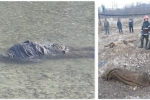 BĂRBAT SCOS ȚEAPĂN DIN APĂ LA VLĂDEȘTI