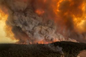 VIDEO Dezastrul din Australia – Incendiile s-au unit într-unul singur. Acoperă 6.000 de hectare