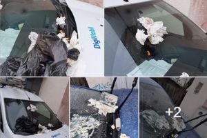 Maşini VANDALIZATE în Arad (GALERIE FOTO). Dispută pe marginea gestului