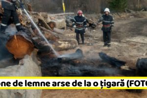 NEAMȚ: Patru tone de lemne arse de la o ţigară (FOTO)