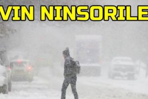 Cod GALBEN de ninsori si viscol