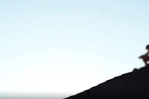 Negociatorii – cei doi poliţişti sibieni care răzgândesc moartea – VIDEO