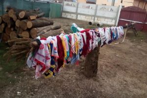 Tinerii din Morteni nu renunţă la tradiţie! Se pregătesc pentru Geavrele, un obicei unic în lume