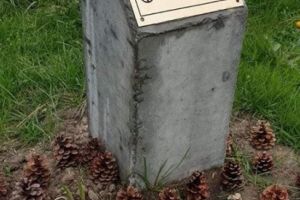 Constanteanul suparat:  Asociatia Constanta Restart“ denunta actul de vandalism din parcul Tabacarie (galerie foto)