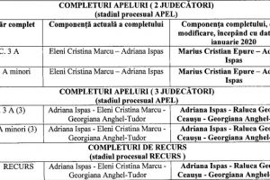Vicepresedintele Marcu, promovat la Curtea Suprema:  Presedintele Curtii de Apel Constanta face echipa cu judecatoarea Adriana Ispas