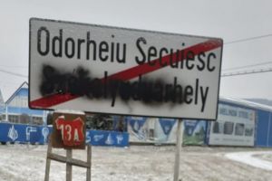 “Vopsitorul” de indicatoare rutiere a fost identificat şi prins de poliţiştii harghiteni. Ce riscă acesta