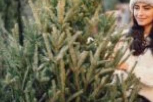 Fără deşeuri pe spaţiul public! Timişorenii trebuie să arunce brazii în locuri speciale!