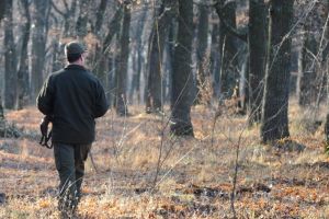 Un pădurar care îi avertiza pe hoţii de lemne despre controalele poliţiei a primit o pedeapsă „la mişto”. Sentinţa judecătorilor