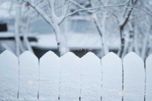 Ianuarie, o lună geroasă, dar în care se pot înregistra şi temperaturi maxime de 18-20 de grade; regim redus de precipitaţii