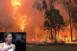 Romania sare in ajutorul Australiei / Simona Halep doneaza bani pentru victimele incendiilor devastatoare
