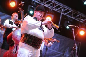 Sergiu Cipariu a murit de Bobotează în casa lui din Orlat