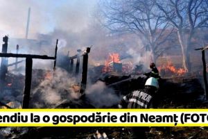 NEAMȚ: Incendiu la o gospodărie din Neamţ (FOTO)