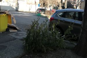 Aradul, un oraş abandonat (GALERIE FOTO)