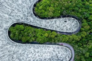 „Dead or Alive”: Fotografia orădeanului Ovi D. Pop, cea mai premiată din România în ultimii doi ani