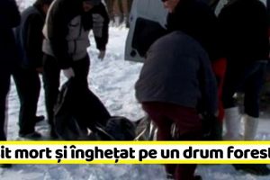 NEAMȚ: Găsit mort şi îngheţat pe un drum forestier
