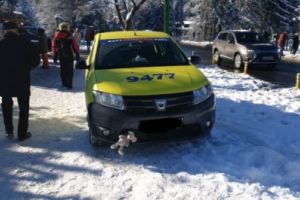 Tupeu de şofer! Cu maşina, direct pe pârtie! (FOTO)