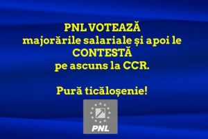 TICALOSIE fara margini! PNL a depus proiect pentru majorarea salariilor, dar l-a CONTESTAT apoi la CCR!