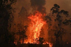 Incendii in Australia – Bilantul a urcat la 26 de morti; se prognozeaza inrautatirea conditiilor meteorologice