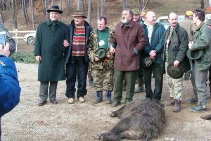 Vânătoarea de la Balc, organizată de Ion Ţiriac, nu se va mai ţine anul acesta din cauza pestei porcine